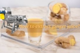 How to extract ginger juice?