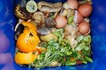 Food Waste