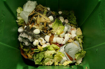 Vegetable Waste